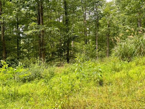 00 Ishman Rd, Brookville, PA, 15825 | Card Image