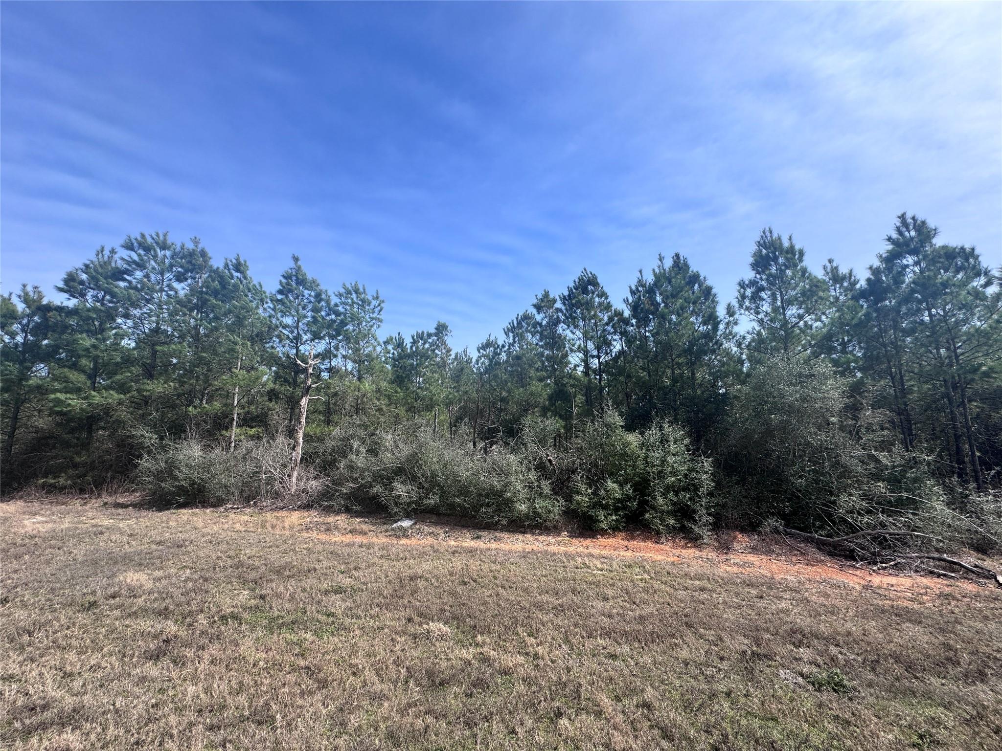 Land in Willis 4