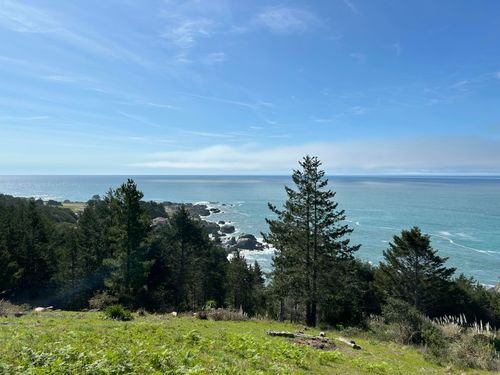 124 Eel Ct, Whitethorn, CA, 95589-9170 | Card Image