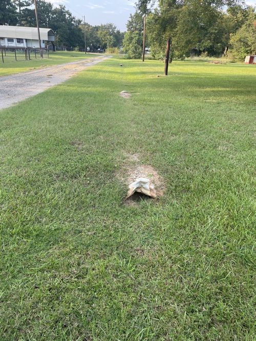 41 Lisa Ln, Streetman, TX, 75859 | Card Image