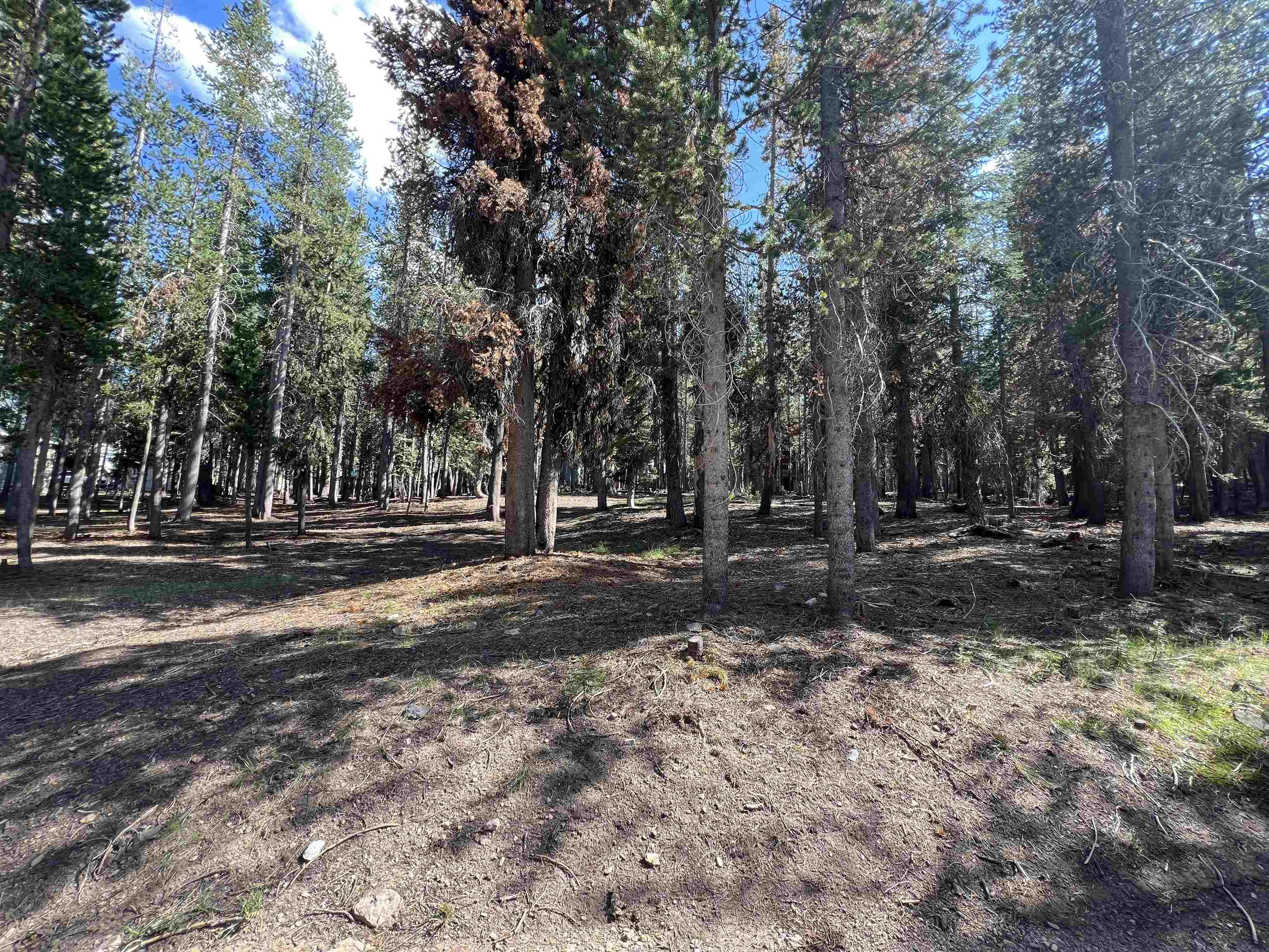 Land in McCloud 5