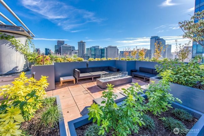 Rooftop lounge | Image 22