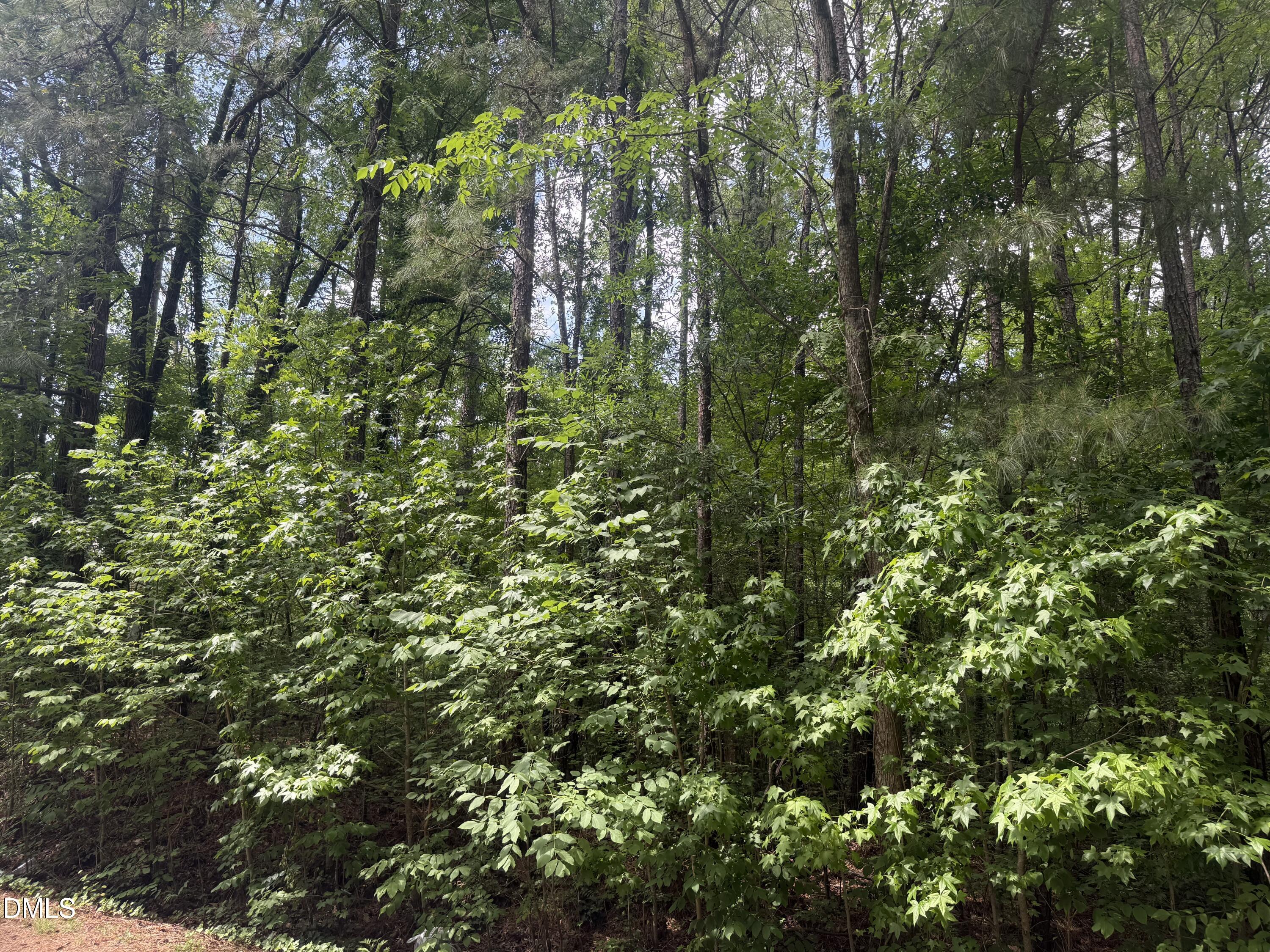 Land in Durham 4
