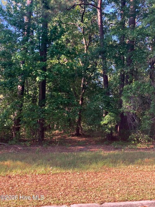 813-134 Legacy Woods Dr, Wallace, NC, 28466-2398 | Card Image