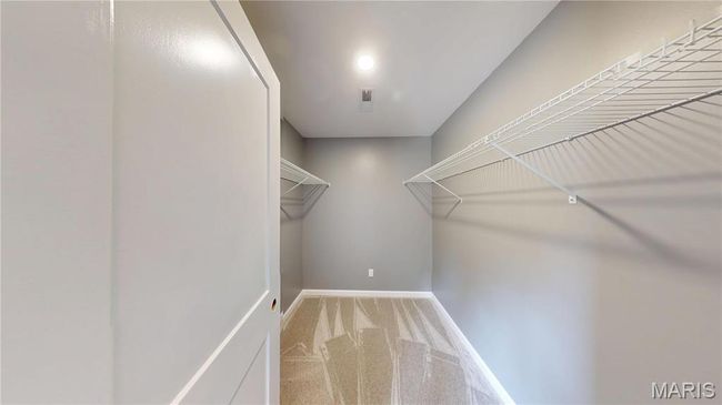 Spacious closet featuring carpet | Image 17