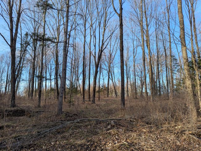 00 Cth X, Home with 0 bedrooms, 0 bathrooms and null parking in PRENTICE WI | Image 32
