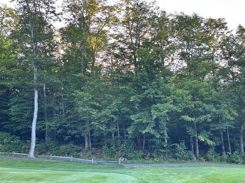 6099 Village On The Green Road, Carrabassett Valley, ME, 04947 | Card Image