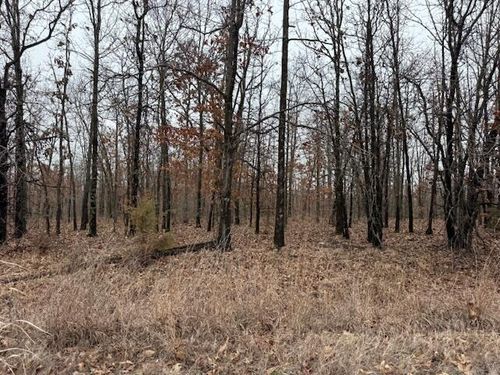 10.3 Acres Post Oak Road, Tunas, MO, 65764 | Card Image