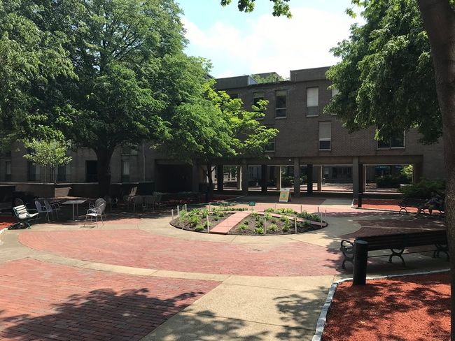 APT-503 - 99 Pond Ave, Condo with 1 bedrooms, 1 bathrooms and null parking in Brookline MA | Image 7
