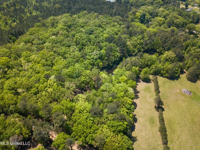 DJI_0501 | Image 12