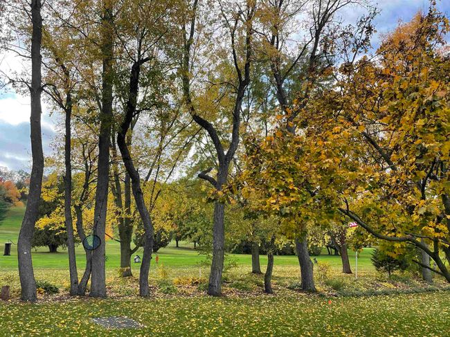 119 Vilas Hibbard Parkway, House other with 4 bedrooms, 4 bathrooms and null parking in LODI WI | Image 64
