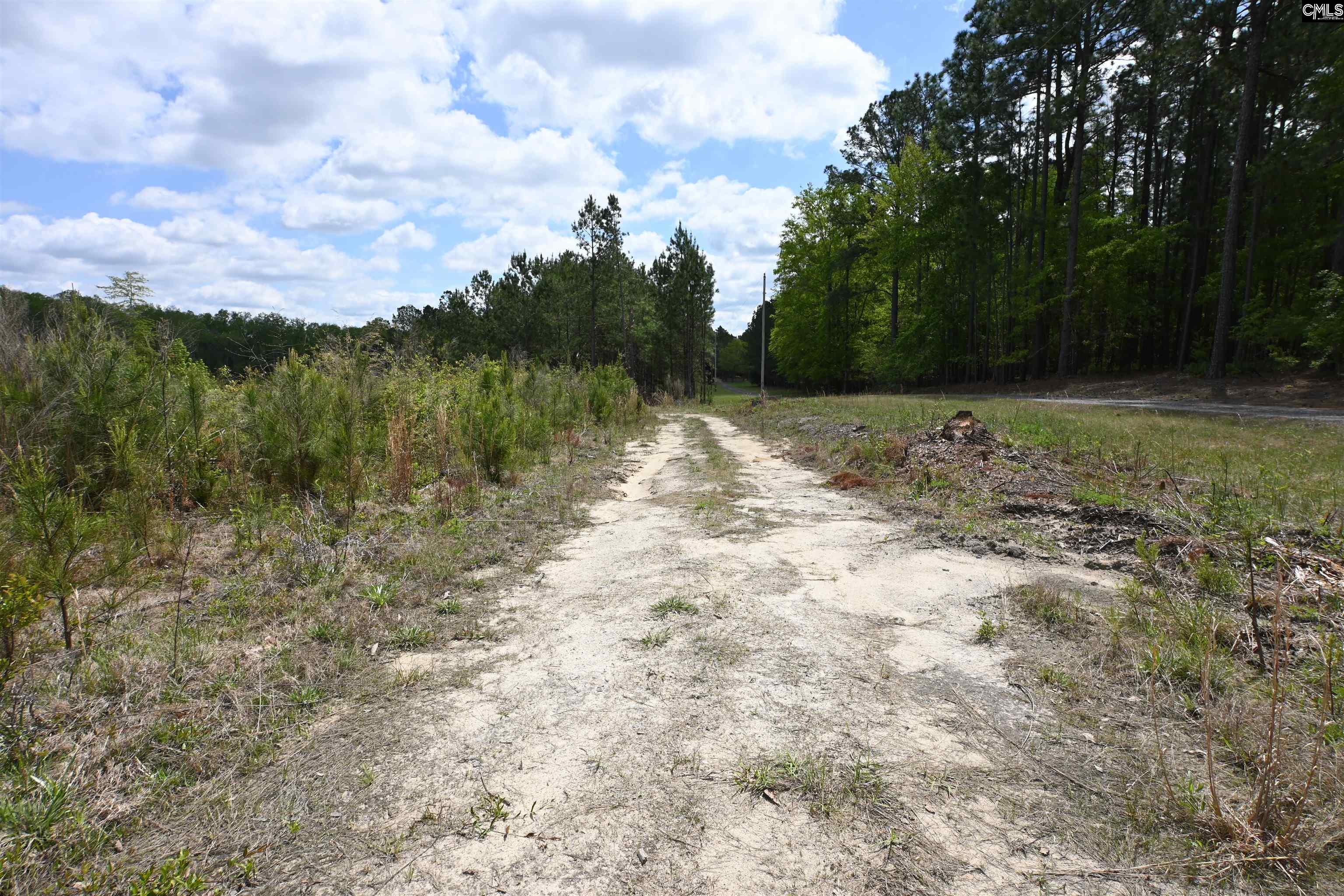 Land in West Columbia 4
