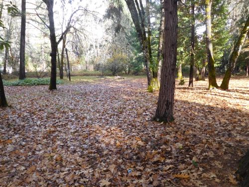 424 W Lister Street, Cave Junction, OR, 97523 | Card Image