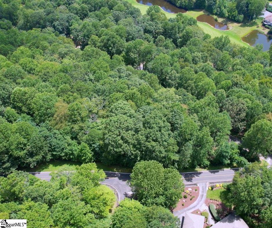 Land in Landrum 3