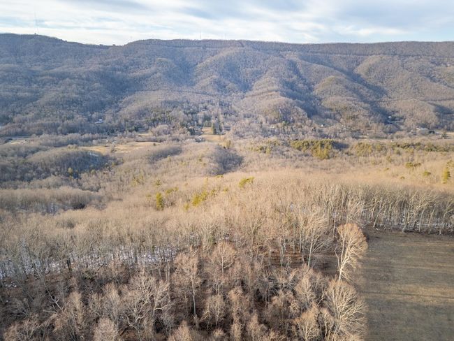 92 Acres Laurel Fork Rd, Home with 0 bedrooms, 0 bathrooms and null parking in Rocky Gap VA | Image 7