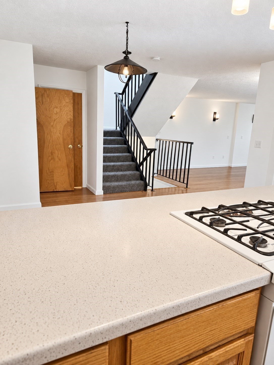 Residential Lease in Ashland 5