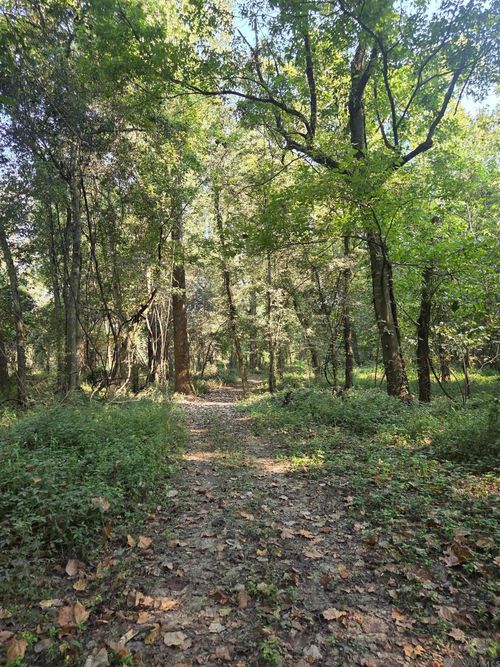 4914 Cat Island Rd, Saint Francisville, LA, 70775-6706 | Card Image