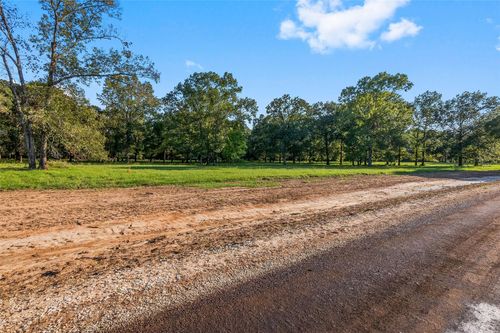 6070 Alans Memorial Lane, New Waverly, TX, 77358 | Card Image
