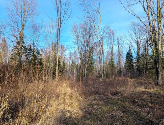 00 Cth X, Home with 0 bedrooms, 0 bathrooms and null parking in PRENTICE WI | Image 38