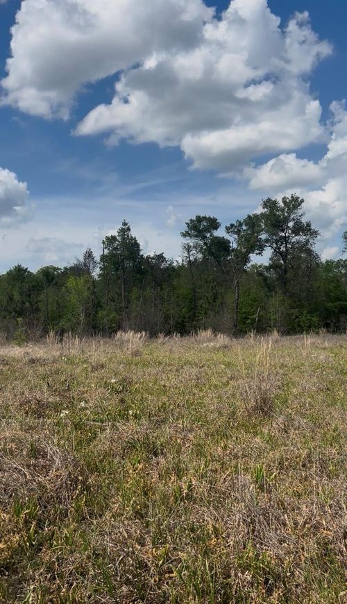 2147 8160 Tract 36, Lovelady, TX, 75851 | Card Image