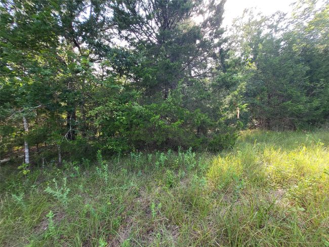 54313 Ridgecrest Cir, Home with 0 bedrooms, 0 bathrooms and null parking in Coldspring TX | Image 8