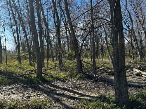 TBD Beckman Rd, Mount Vernon, IL, 62864 | Card Image