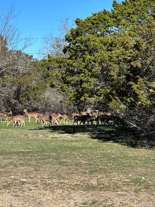 0 Deerwood, Bandera, TX, 78003 | Card Image