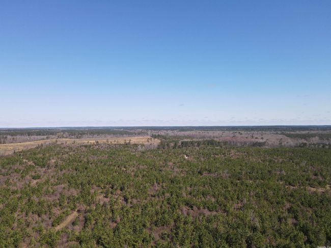 00 Highway 278 Highway, Home with 0 bedrooms, 0 bathrooms and null parking in Rosston AR | Image 28