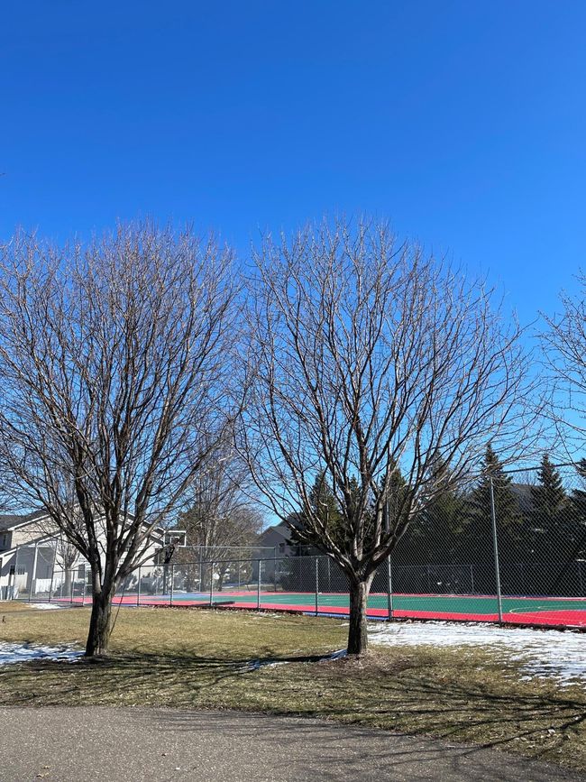 11269 16th St NE - Sport Court.JPG | Image 22