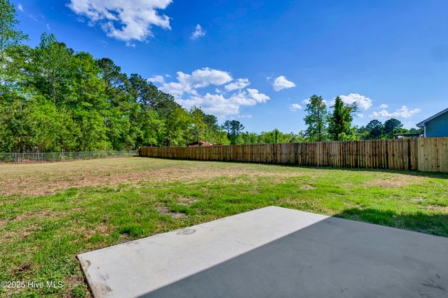 304 Big Tree Ln, House other with 3 bedrooms, 2 bathrooms and 1 parking in Chinquapin NC | Image 28