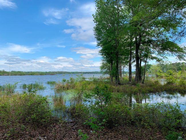 3200 Shadow Pine Dr, Home with 0 bedrooms, 0 bathrooms and null parking in LaRue TX | Image 16