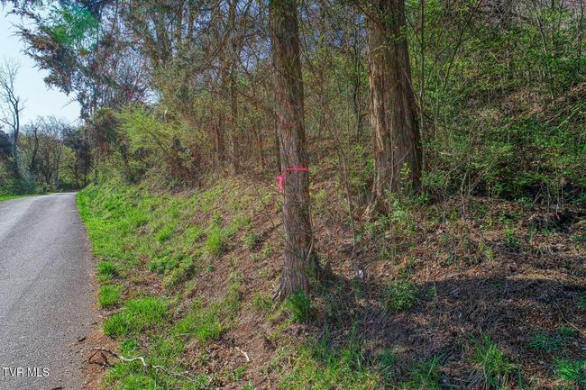 000 Sensabaugh Hollow Rd, Home with 0 bedrooms, 0 bathrooms and null parking in Church Hill TN | Image 4