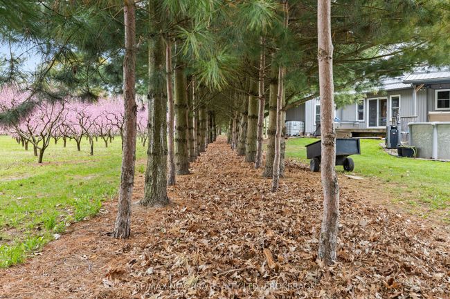 1382 Mcnab Rd, House other with 2 bedrooms, 2 bathrooms and 10 parking in Niagara on the Lake ON | Image 12
