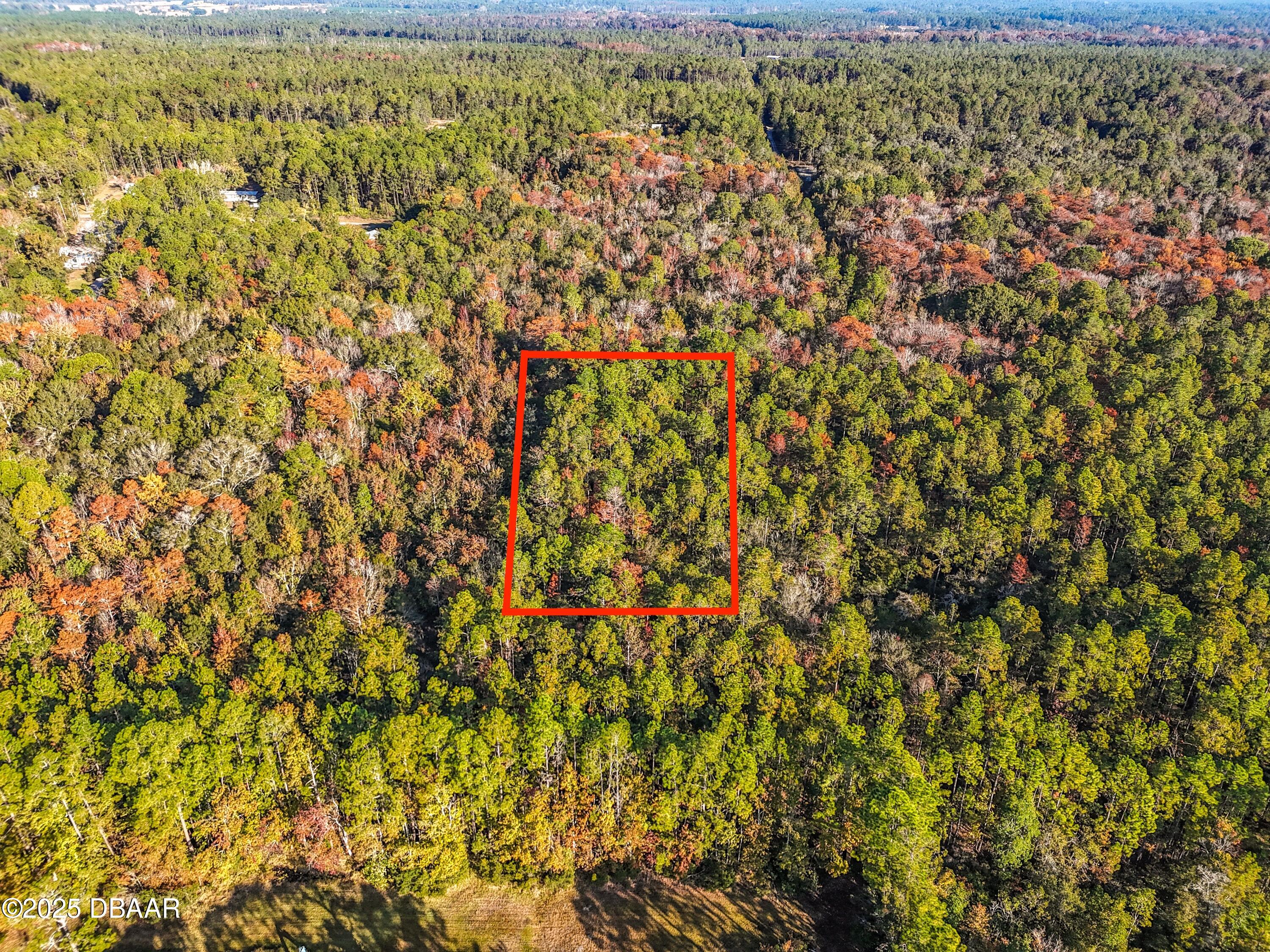 Land in Palatka