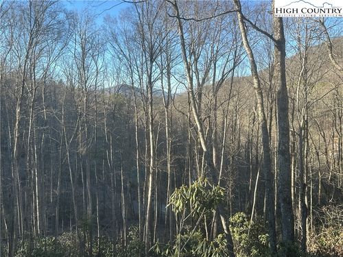 40 Silver Fox Dr, Blowing Rock, NC, 28605 | Card Image