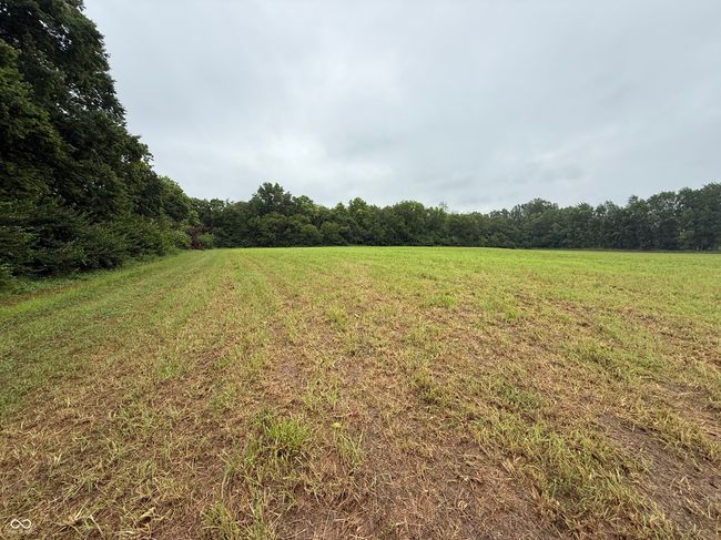 view of grassy yard featuring a view of trees and a rural view | Image 16