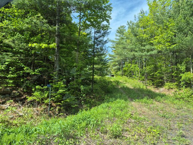 1152 Warrington Lane, Home with 0 bedrooms, 0 bathrooms and null parking in Sharbot Lake ON | Image 19