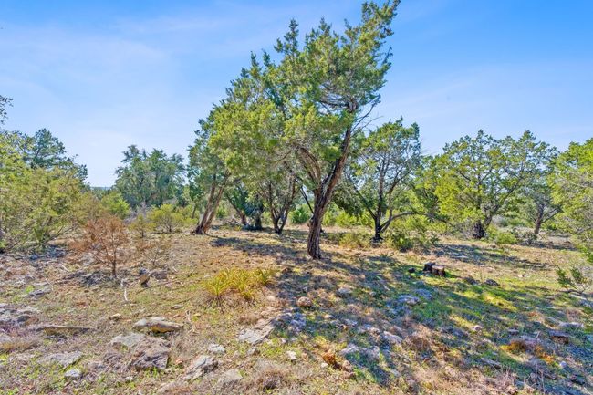 105 Camp Springs Ln, Home with 0 bedrooms, 0 bathrooms and null parking in Georgetown TX | Image 19
