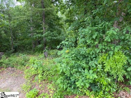 0 Brook Glenn Road, Taylors, SC, 29687 | Card Image