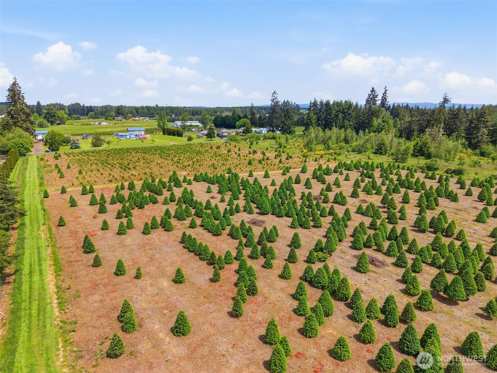 Land in Winlock 5