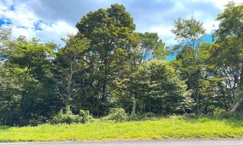 Lot 10 Holiday Ln, Whitetop, VA, 24292 | Card Image