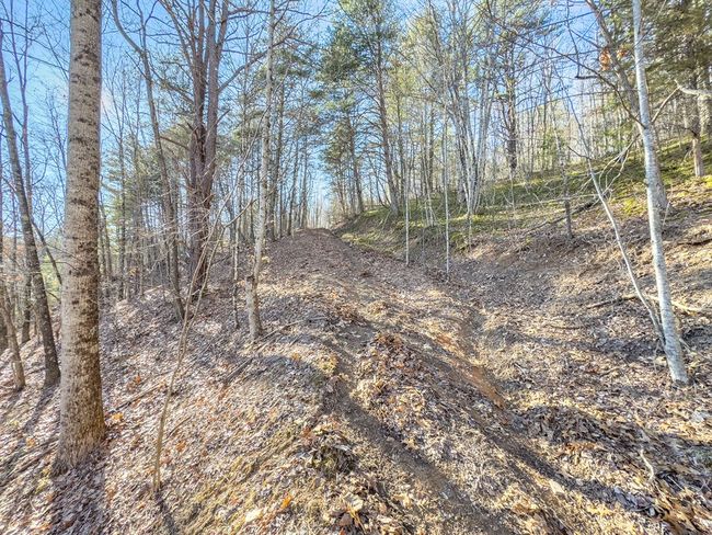 92 Acres Laurel Fork Rd, Home with 0 bedrooms, 0 bathrooms and null parking in Rocky Gap VA | Image 20