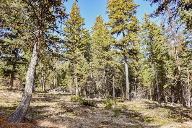 270 Tomahawk Trl, Home with 0 bedrooms, 0 bathrooms and null parking in Fortine MT | Image 13