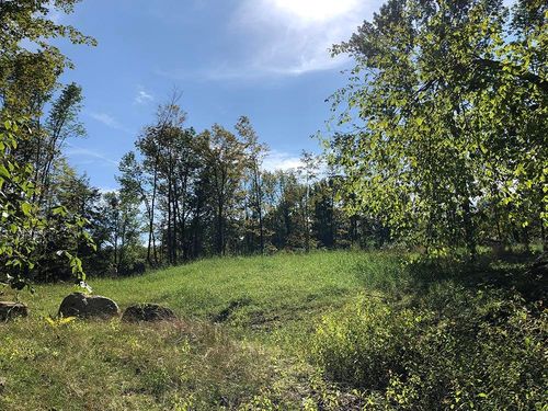 111 Gib Lockerby Rd, Grafton, VT, 05146 | Card Image