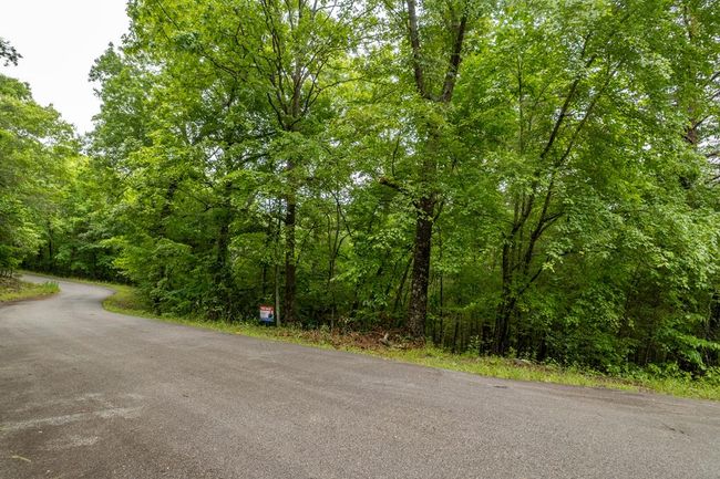 Lot 1 Mirandi Dr, Home with 0 bedrooms, 0 bathrooms and null parking in Warne NC | Image 7