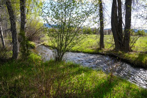 NHN Beaver Creek Rd, Lincoln, MT, 59639 | Card Image