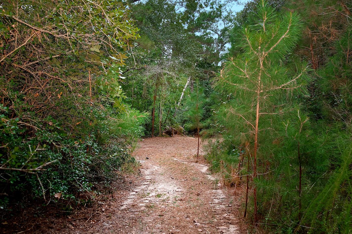Land in Huntsville 3