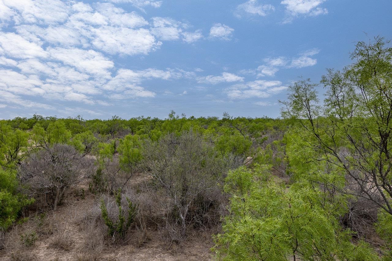 Land in Del Rio 5
