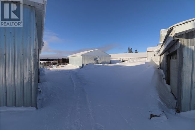 43 - 47 Birch Ave, Home with 2 bedrooms, 2 bathrooms and null parking in Cormack NL | Image 17