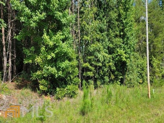 0 E Silver Shoals Rd, Home with 0 bedrooms, 0 bathrooms and null parking in Toccoa GA | Image 5